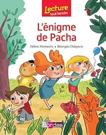 L'ENIGME DE PACHA
