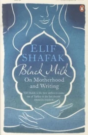 Black Milk: On Motherhood and Writing