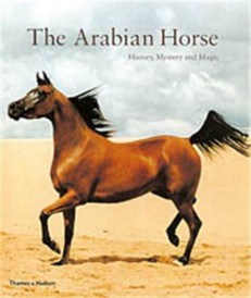 The arabian horse (paperback) (édition en anglais)