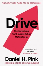 DRIVE : THE SURPRISING TRUTH ABOUT WHAT MOTIVATES US