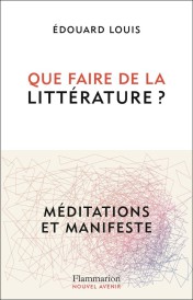 Que faire de la littérature ? Méditations et manifeste