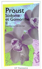 à la recherche du temps perdu t.4 ; Sodome et Gomorrhe t.2