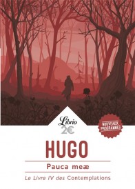Pauca meae ; le livre IV des Contemplations