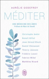 Méditer ; une medecine des âmes (préface Marc de Smedt)