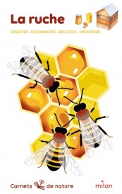 La ruche : Entretenir, récolter, reconnaître, observer
