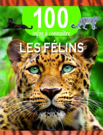 100 infos à connaître : Les félins