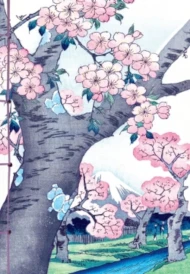 Cerisiers en Fleurs