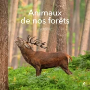 Calendrier 2027 Animaux de nos forêts