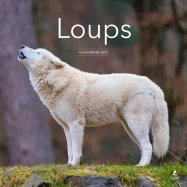 Calendrier 2027 Loups