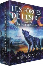 Les forces de l'esprit : Cartes de visualisation : Conseils spirituels pour votre chemin de vie