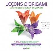 Leçons d'origami : le livre pour devenir origamiste
