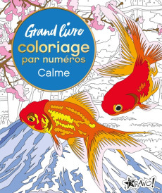 Coloriage par numéros : Grand livre : Calme