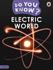 DO YOU KNOW ? LEVEL 3 ELECTRIC WORLD