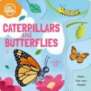 Caterpillars and Butterflies