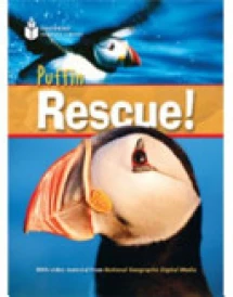 Puffin Rescue!
