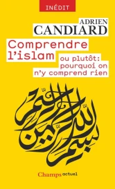 Comprendre l’islam ou plutôt : pourquoi on n’y comprend rien