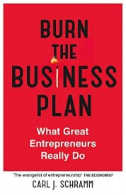 BURN THE BUSINESS PLAN - WHAT GREAT ENTREPRENEURS REALLY DO