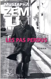 LES PAS PERDUS