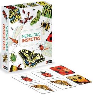 Le mémo des insectes