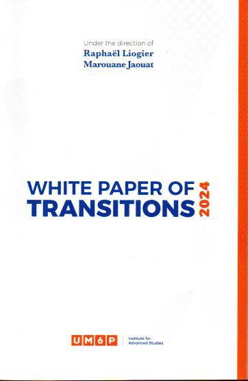 WHITE PAPER TRANSITIONS