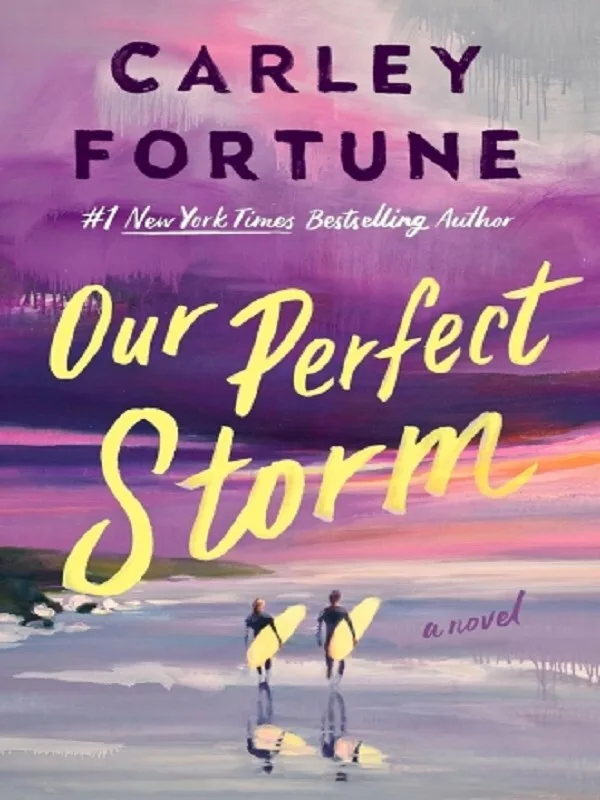 Couverture — Our Perfect Storm