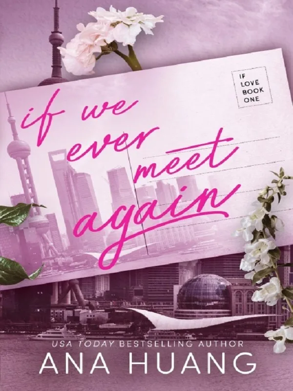 Couverture — If We Ever Meet Again