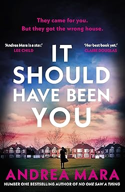 Couverture — It Should Have Been You