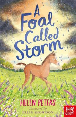 Couverture — A FOAL CALLED STORM
