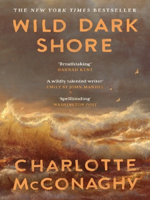 Couverture — Wild Dark Shore