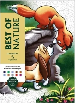 Couverture — Coloriages mystères Disney - Best of Nature
