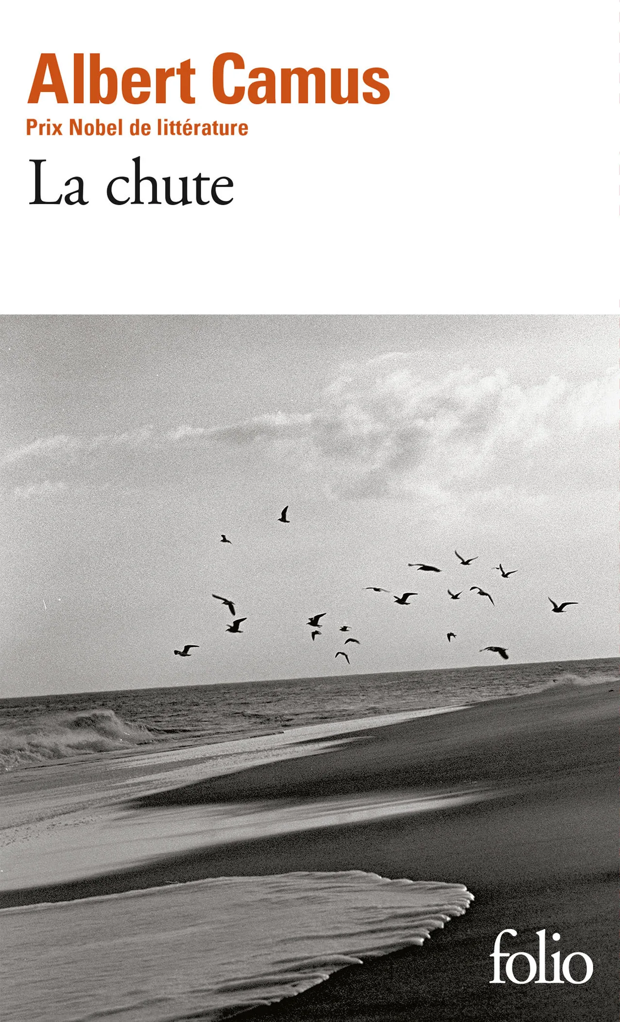 Couverture — La Chute