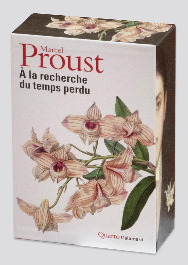 Couverture — À la recherche du temps perdu (Édition sous étui)