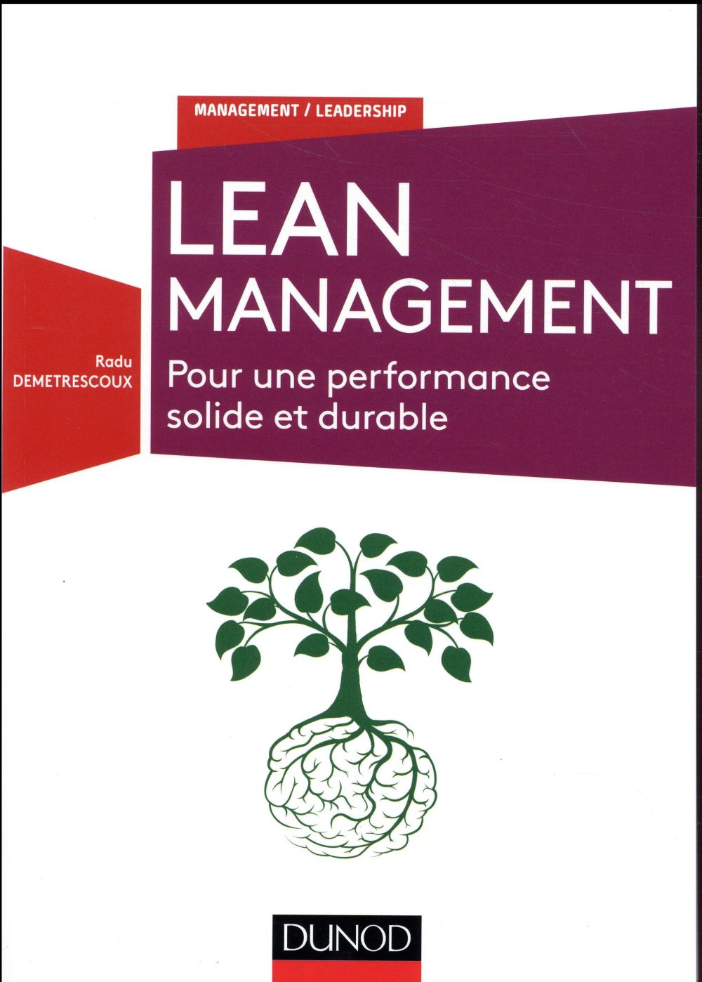 Lean management ; pour une performance solide et durable