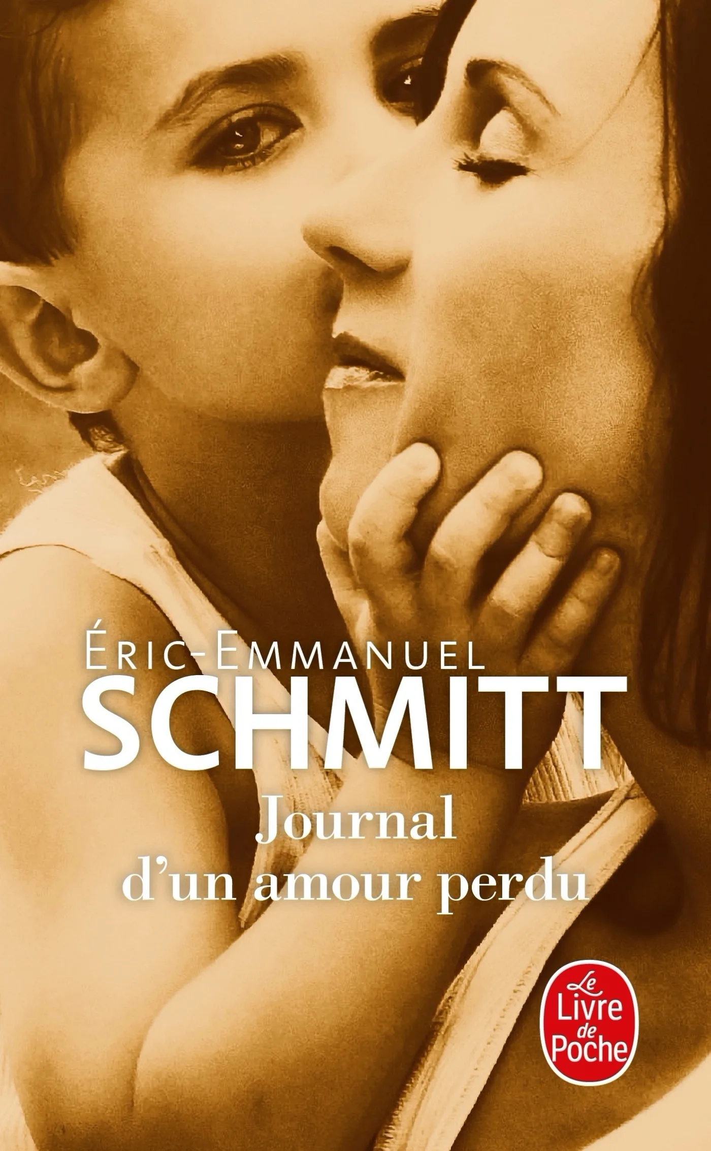 Couverture — Journal d'un amour perdu