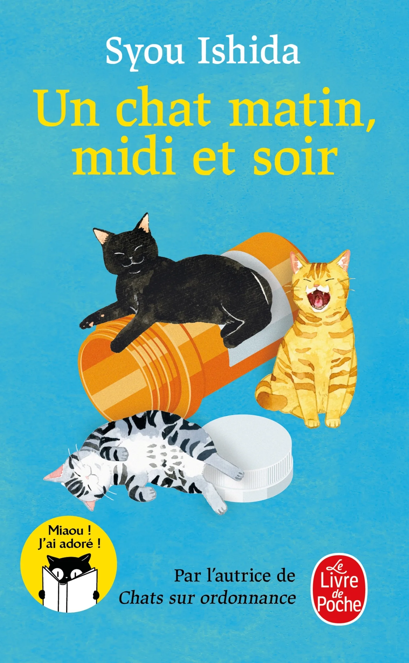 Couverture — Un chat matin, midi et soir