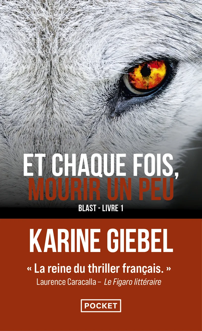 Couverture — Et chaque fois, mourir un peu - Livre 1 Blast
