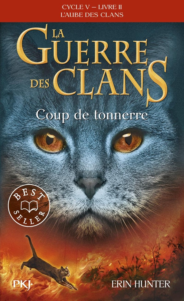La guerre des clans - cycle 5 ; l'aube des clans Tome 2 : Coup de tonnerre