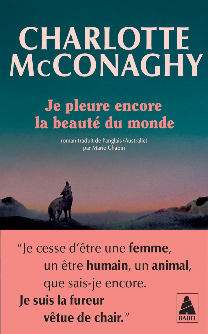 Couverture — Je pleure encore la beauté du monde
