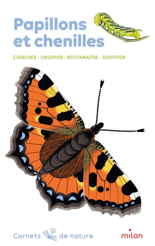 Couverture — Papillons et chenilles : Chercher, observer, reconnaître, identifier