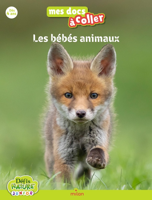 Couverture — Les bébés animaux