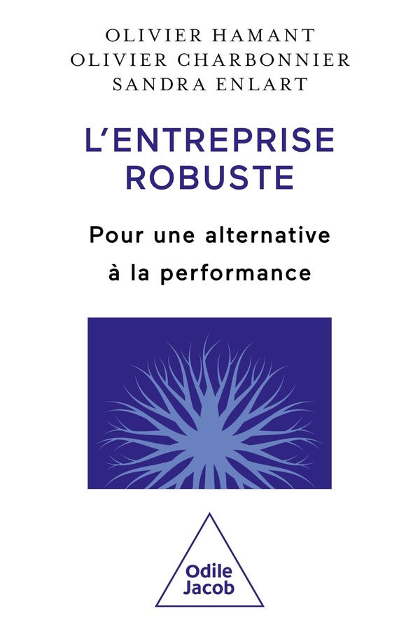 Couverture — L'entreprise robuste : Pour une alternative à la performance