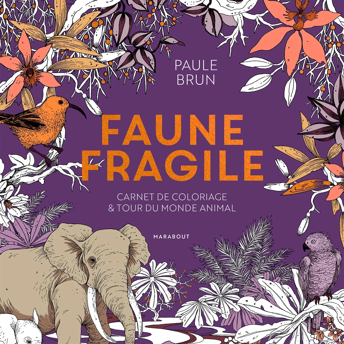 Couverture — Faune fragile