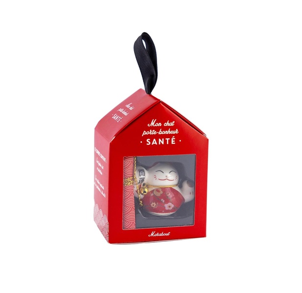 Mon chat porte-bonheur : Santé