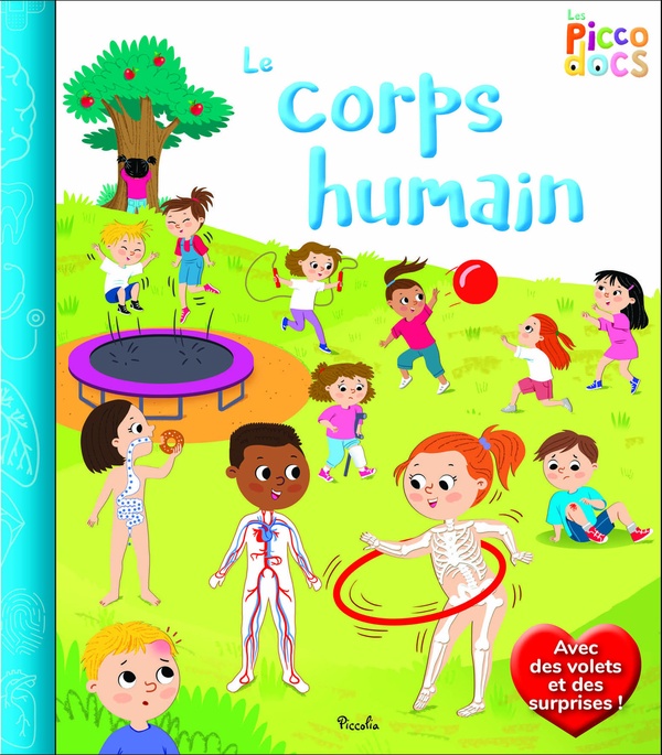 Le corps humain