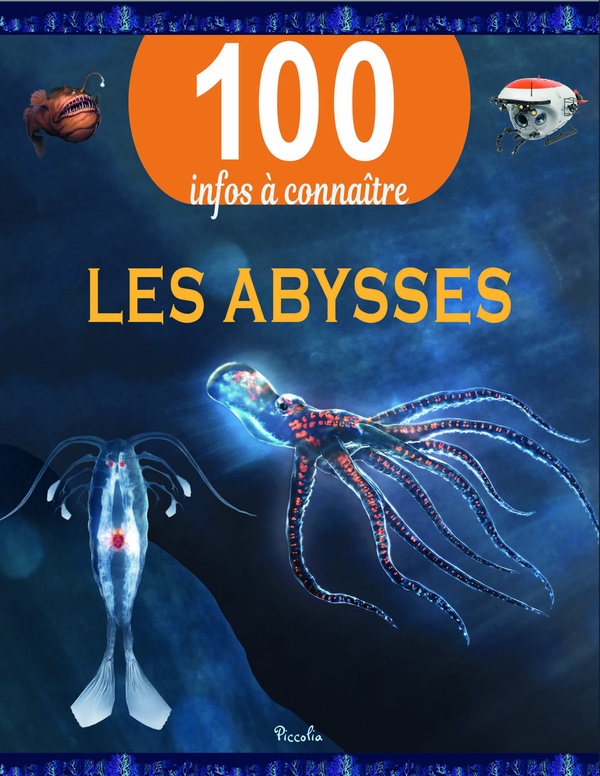 100 infos à connaître : les abysses