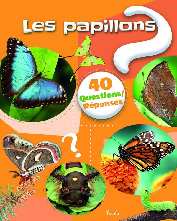 40 questions/réponses : Les papillons
