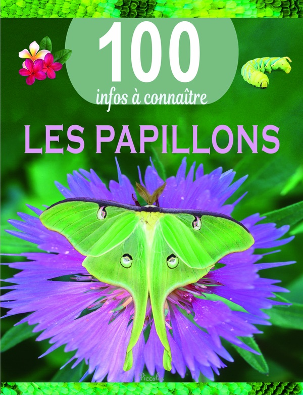 100 infos à connaître : Les papillons