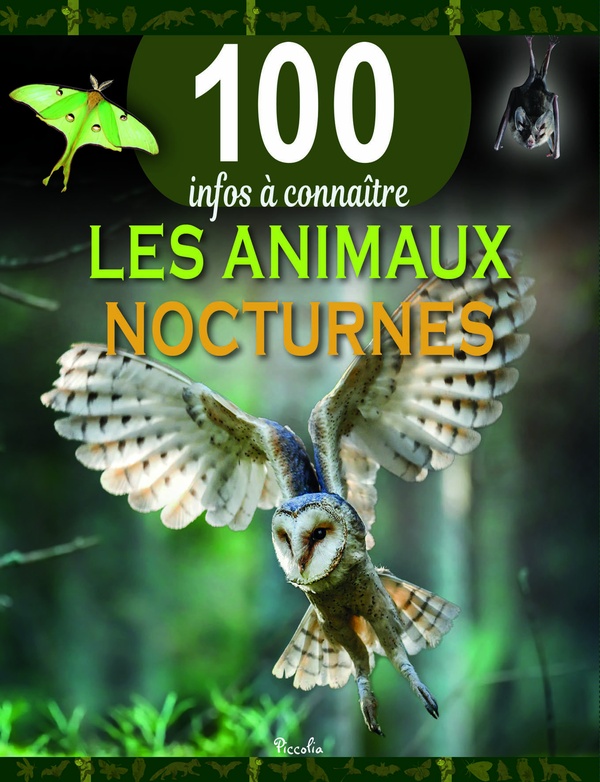 100 infos à connaître : Les animaux nocturnes