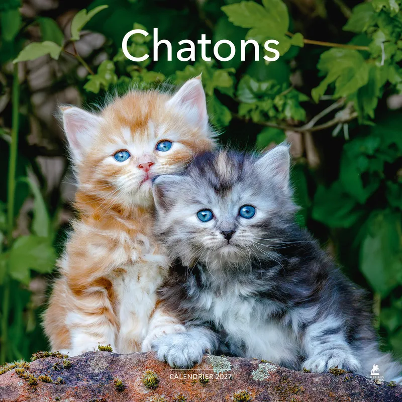 Couverture — Calendrier 2027 Chatons