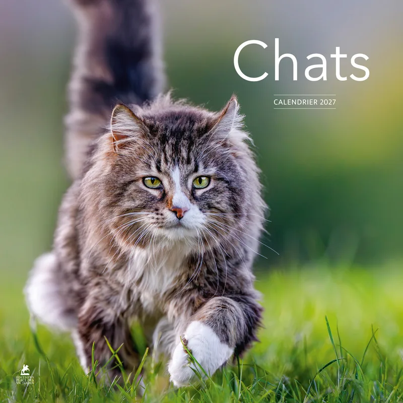 Couverture — Calendrier 2027 Chats